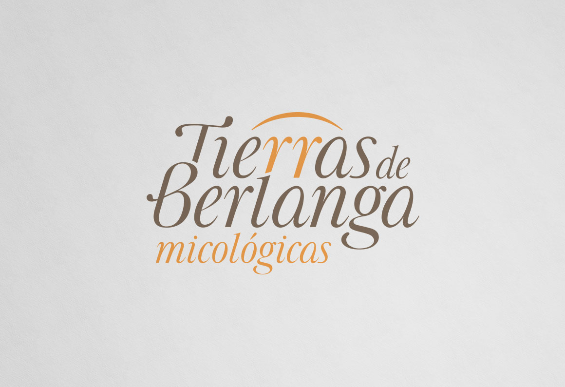 Brand design and mycological guide Tierras de Berlanga - publishing design / branding / illustration