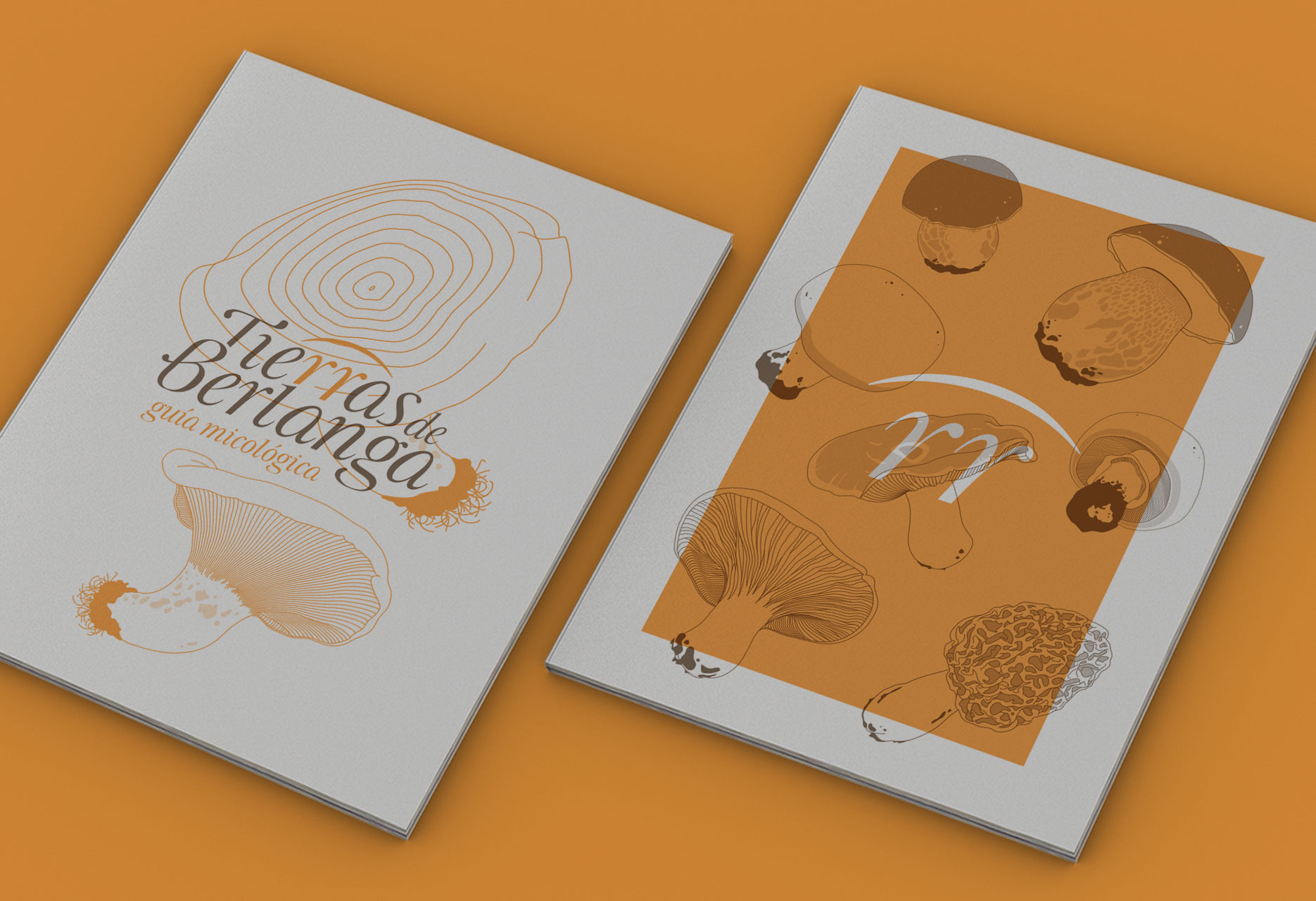 Brand design and mycological guide Tierras de Berlanga - publishing design / branding / illustration