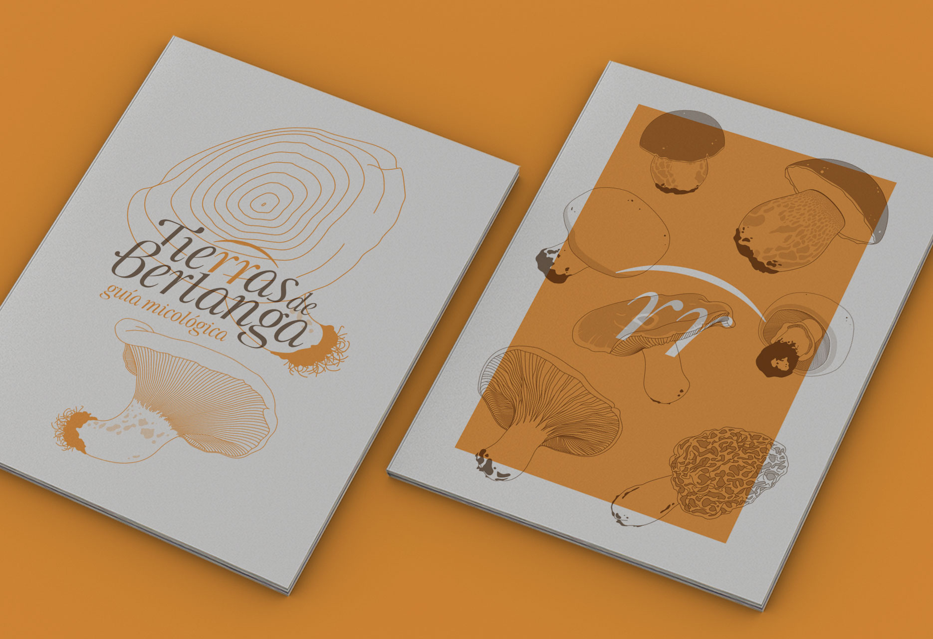 Brand design and mycological guide Tierras de Berlanga - publishing design / branding / illustration - 2015